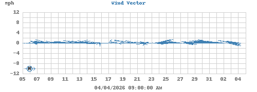 Wind Vector