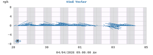 Wind Vector
